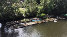 img_1342.jpeg