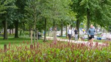 westerpark.jpg