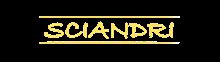sciandri_zonder_achtergrond.png