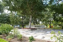 54558-03-deboomdiealleszag-24aug2020-e-v-eis.jpg