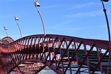 82386-10-pythonburg-18feb2025-e-v-eis_1_.jpg
