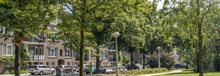 46106-sara-burgerhardtstr-west-e-v-eis.jpg