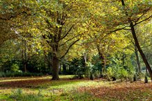 34063-191017-Watergrfsmeer-Darwinplntsn_TFF2657